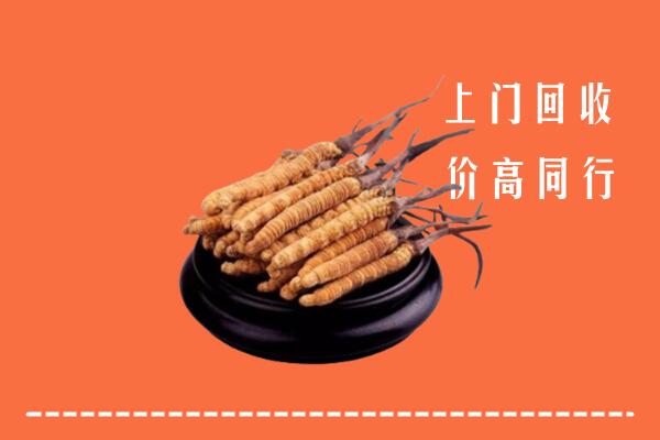 高价求购：太原晋源区回收散虫草
