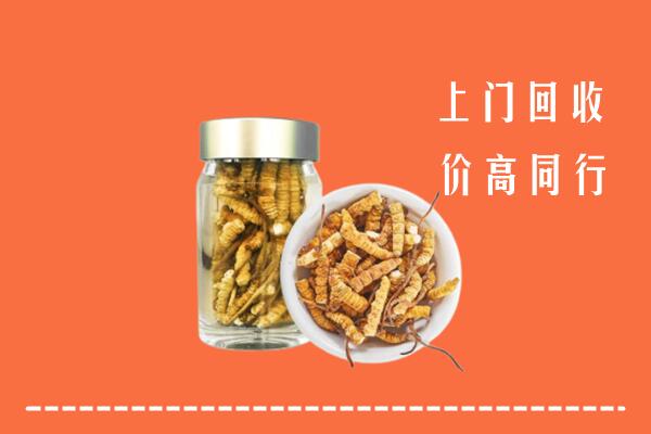 太原晋源区回收冬虫夏草