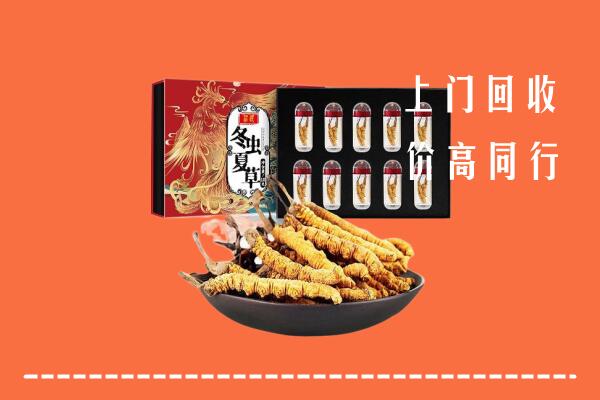 太原晋源区回收虫草